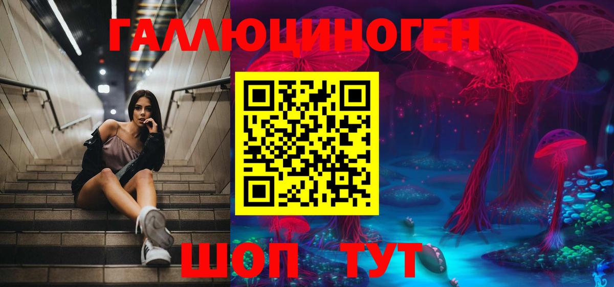 Наро-Фоминск  Псилоцибиновые грибы Psilocybine cubensis  Вход с VPN 